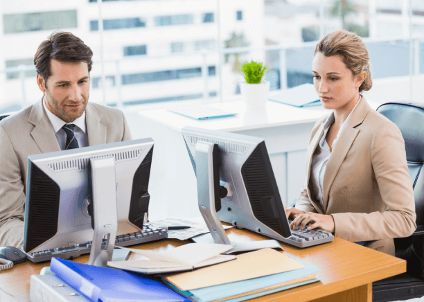 Translator providing high-quality employee manual translation service, ensuring accuracy and adherence to company standards.