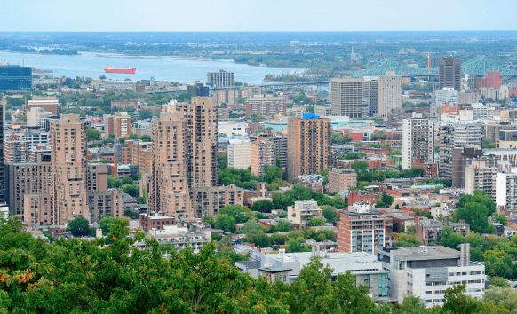 A city San Jose uses professional translation services to expand their tech products and services to international markets.