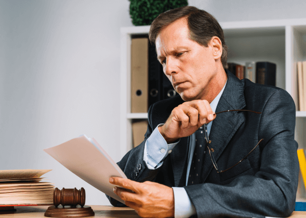 Translator provides specialized Portuguese translation services for legal frameworks, ensuring legal compliance and accuracy.