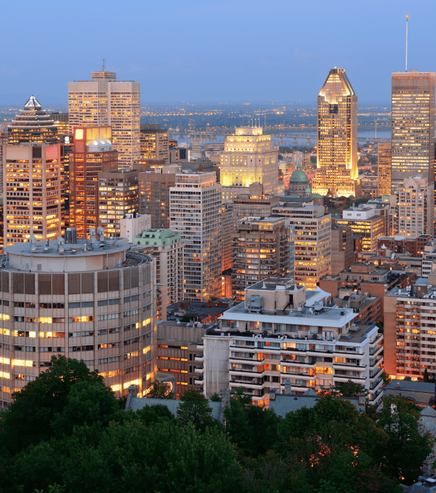 A city of Nashville receiving translation services for marketing and business materials targeting diverse demographics.