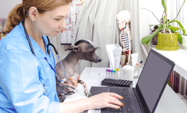 A veterinarian reviewing the documents from translation services that ensure clear communication in animal health. A veterinarian reviewing the documents from translation services that ensure clear communication in animal health.