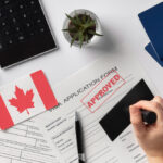 Immigration translation services