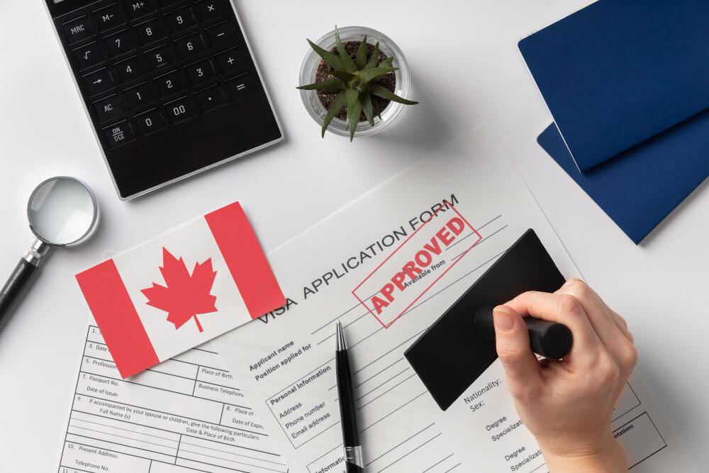 Immigration translation services