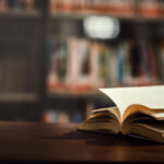 novel translation services