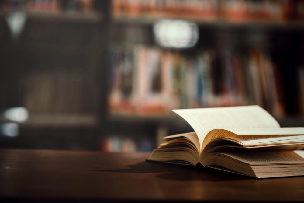 novel translation services